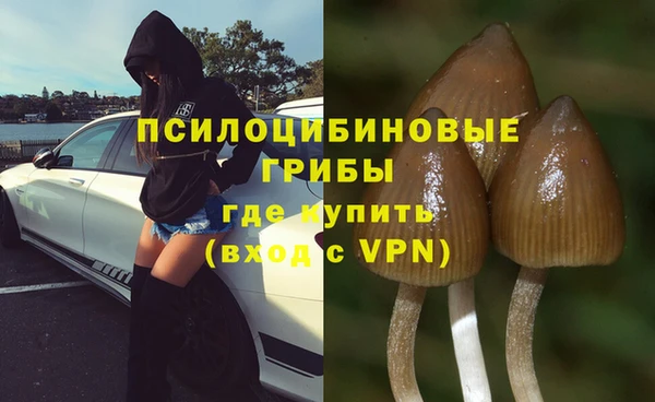 спиды Абинск