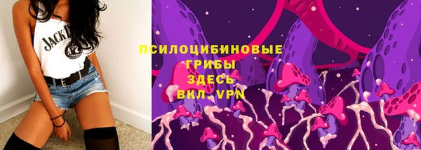 эйфоретик Надым