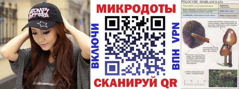 Псилоцибиновые грибы Magic Shrooms  Ртищево 
