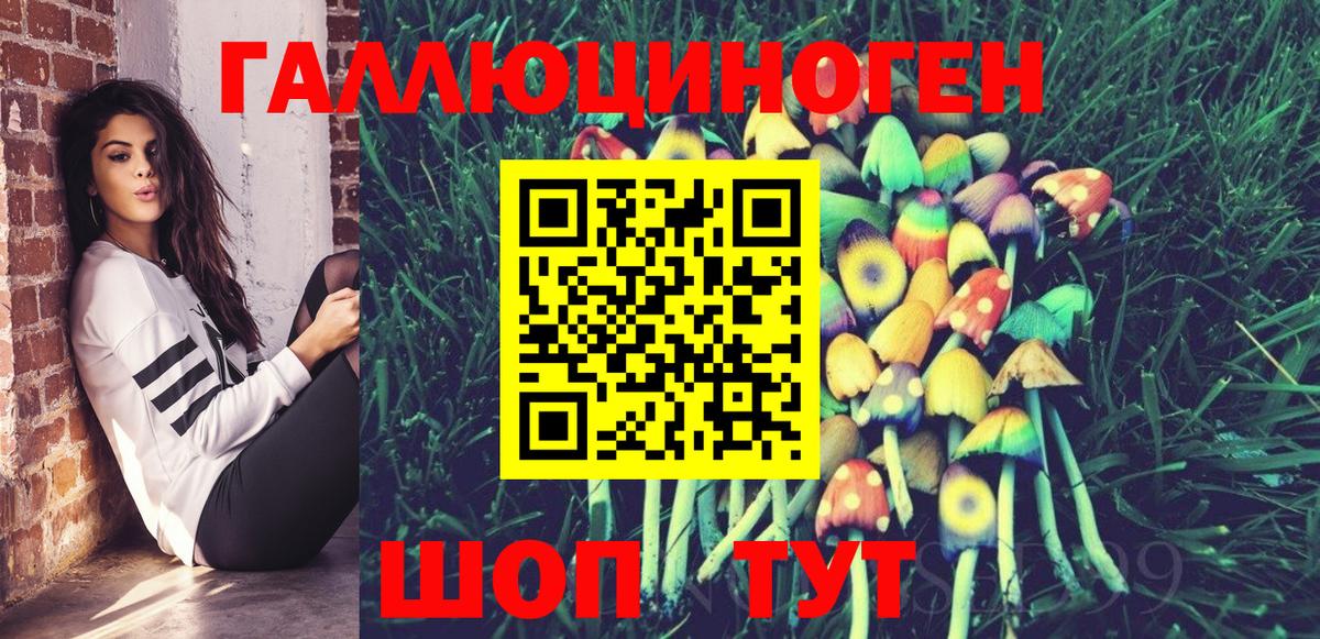 Галлюциногенные грибы Psilocybe Ртищево